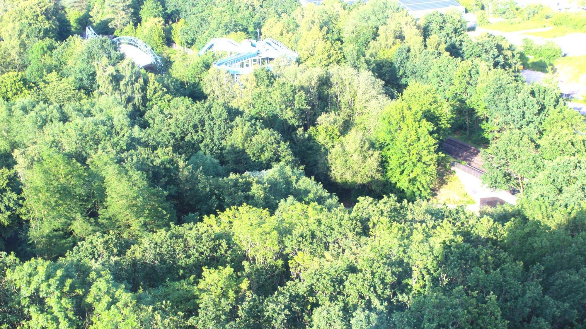 Appartement Zum Wohlfuhlen Fur 4 Erwachsene +1 Kind, Schwimmbad Vor Der Tur Tiere Erlaubt à Sierksdorf Extérieur photo